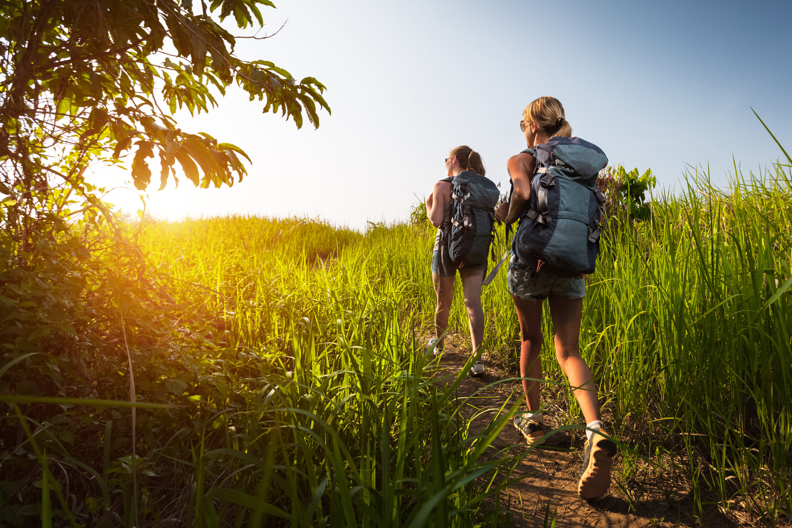 Animateur/trice tourisme rural