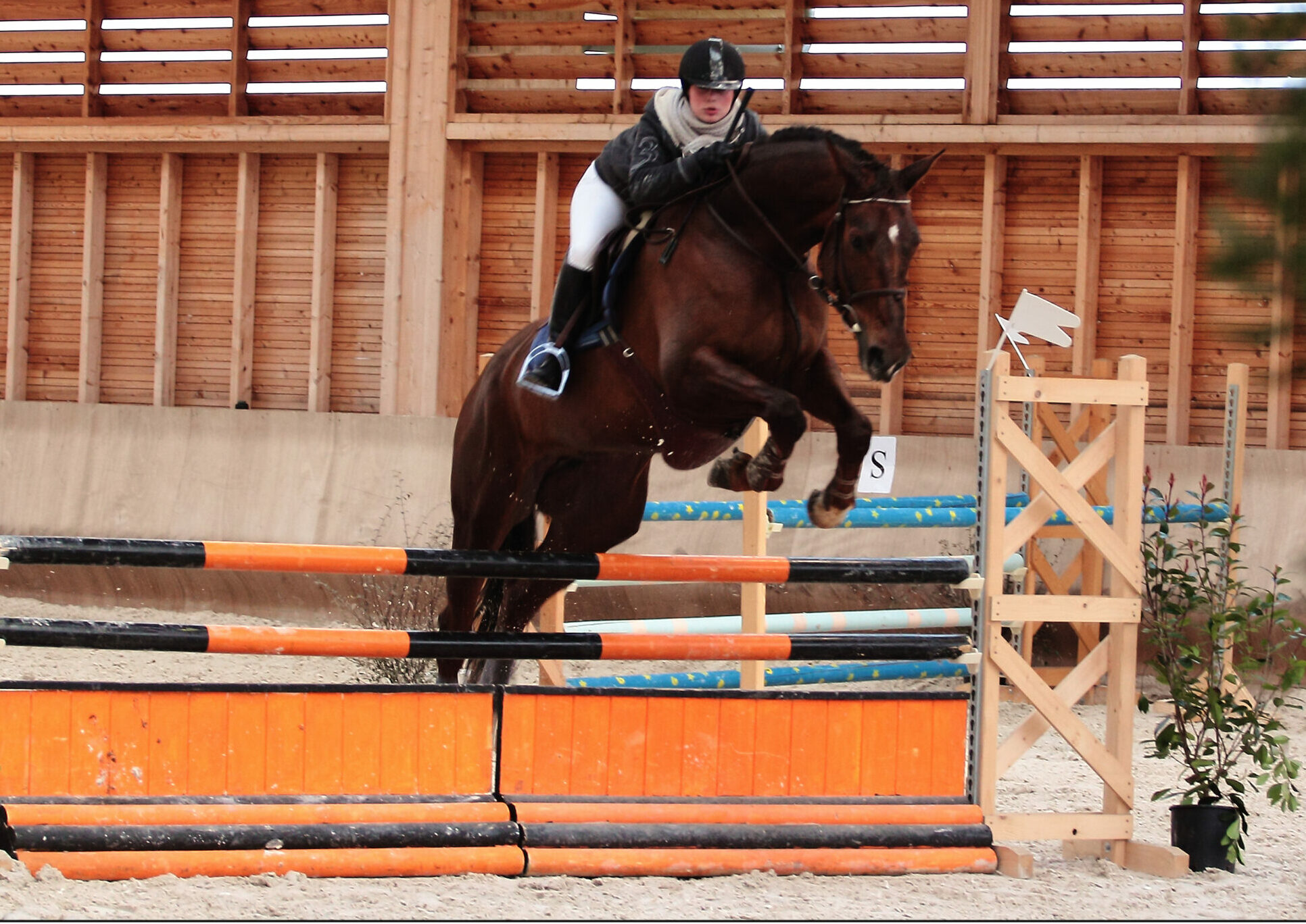 Cavalier/ère d’entraînement