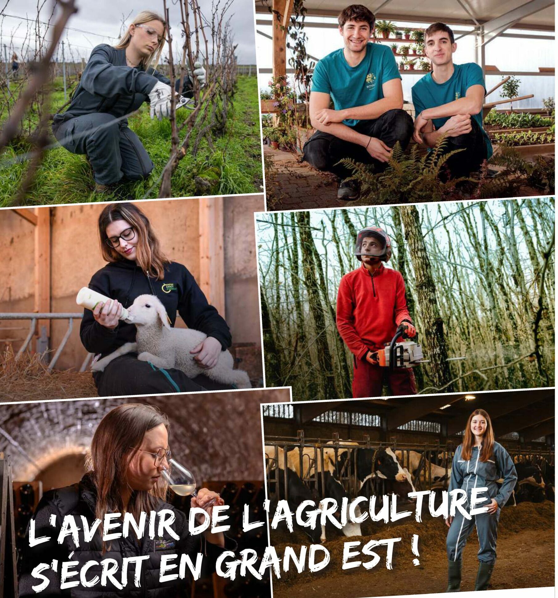 Ambassadeurs du Vivant